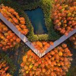 Un bosque flotante Fish Tail Park 02 150x150