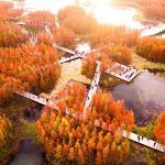 Un bosque flotante Fish Tail Park 03 150x150