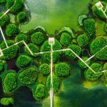 Un bosque flotante Fish Tail Park 05 150x150
