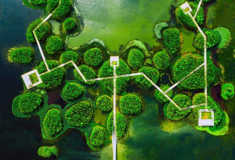 Un bosque flotante Fish Tail Park 05 768x524