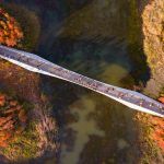 Un bosque flotante Fish Tail Park 08 150x150