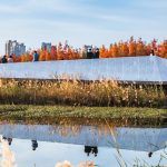 Un bosque flotante Fish Tail Park 15 150x150
