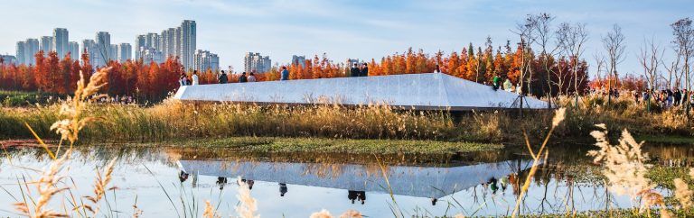 Un bosque flotante Fish Tail Park 15 768x242