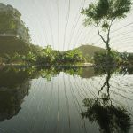 Tropicalia by Coldefy 05 150x150