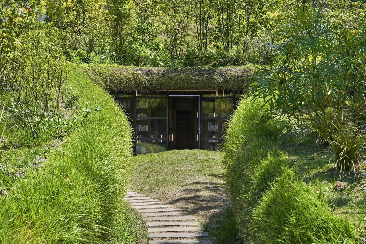 Biblioteca en la Tierra 02