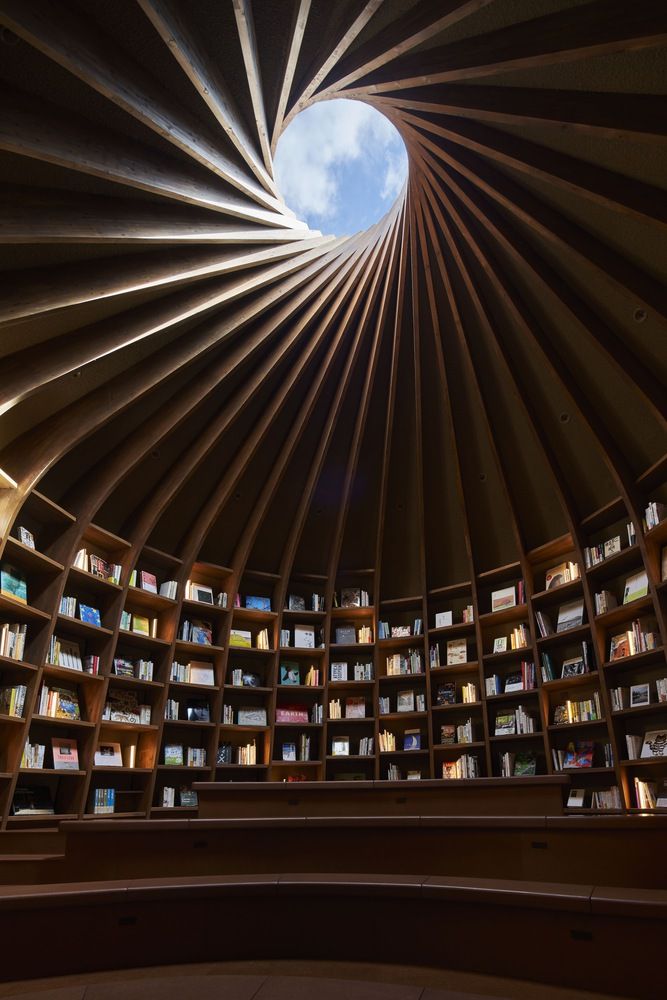 Biblioteca en la Tierra 04