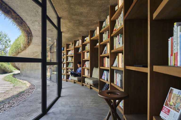 Biblioteca en la Tierra 09 768x512