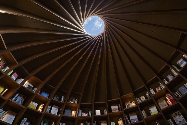 Biblioteca en la Tierra 14 768x512