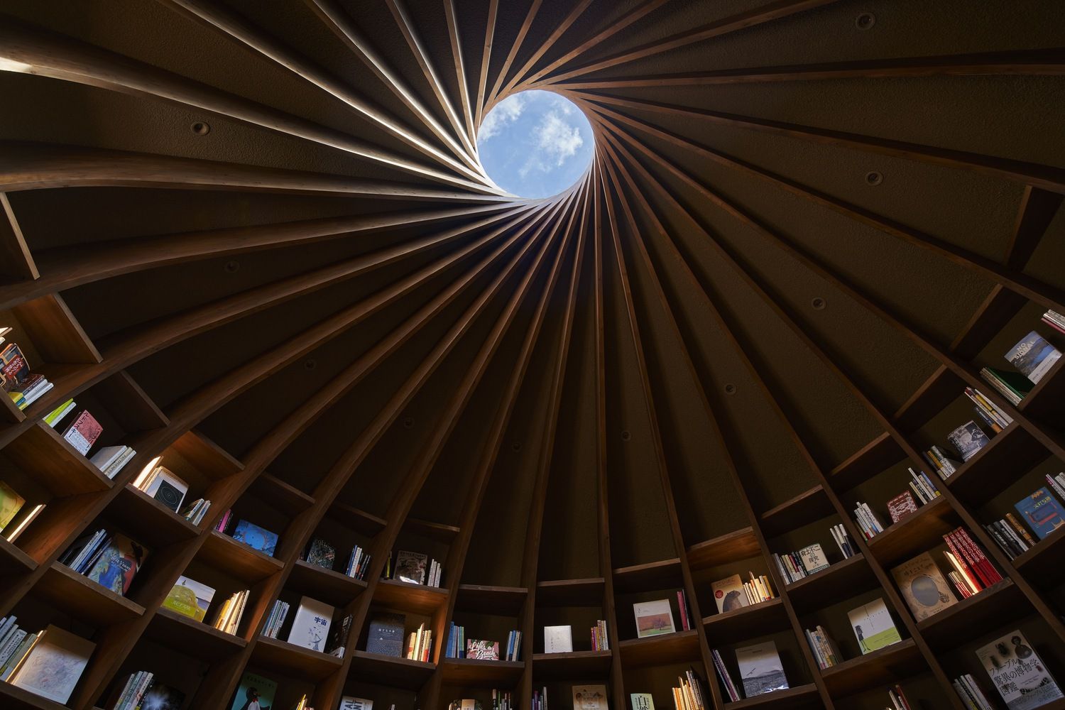 Biblioteca en la Tierra 14