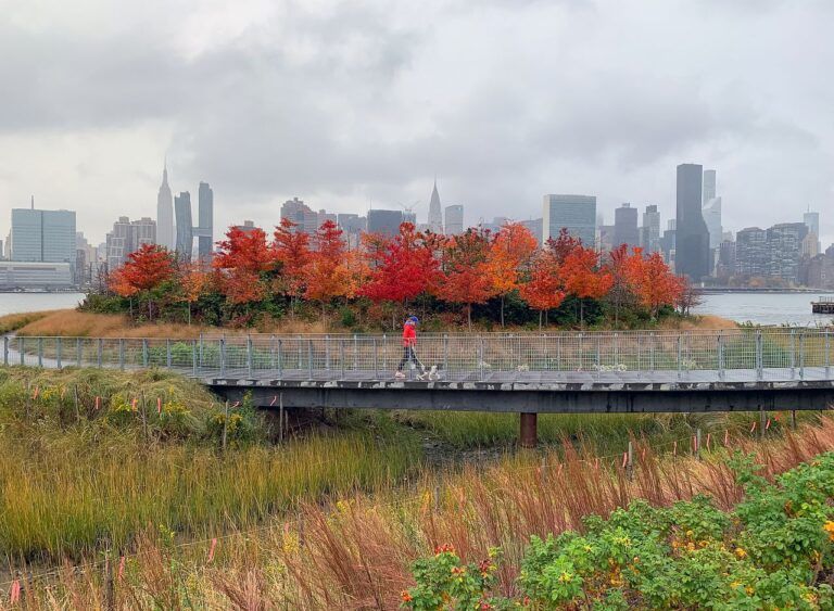 Parque costero sur de Hunters Point 11 768x563