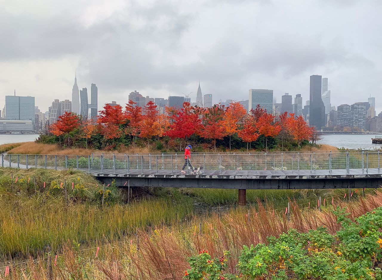 Parque costero sur de Hunters Point 11
