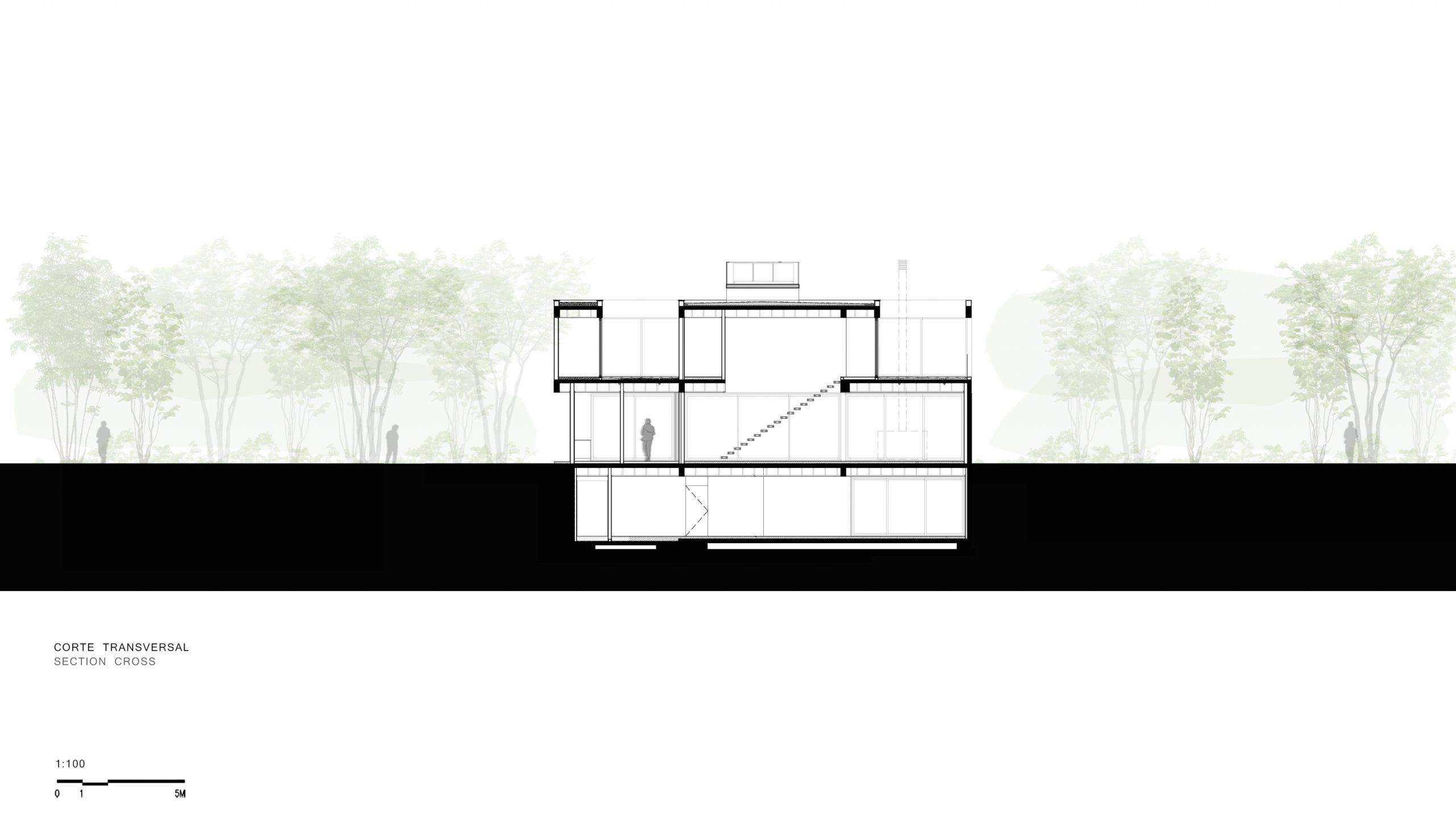 05 CORTE TRANSVERSAL scaled 1