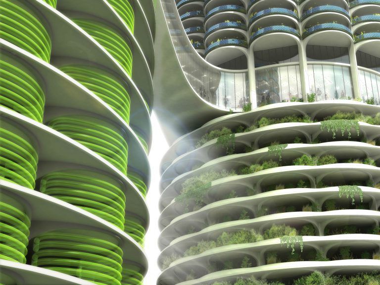 Algae Green Loop 2 768x576