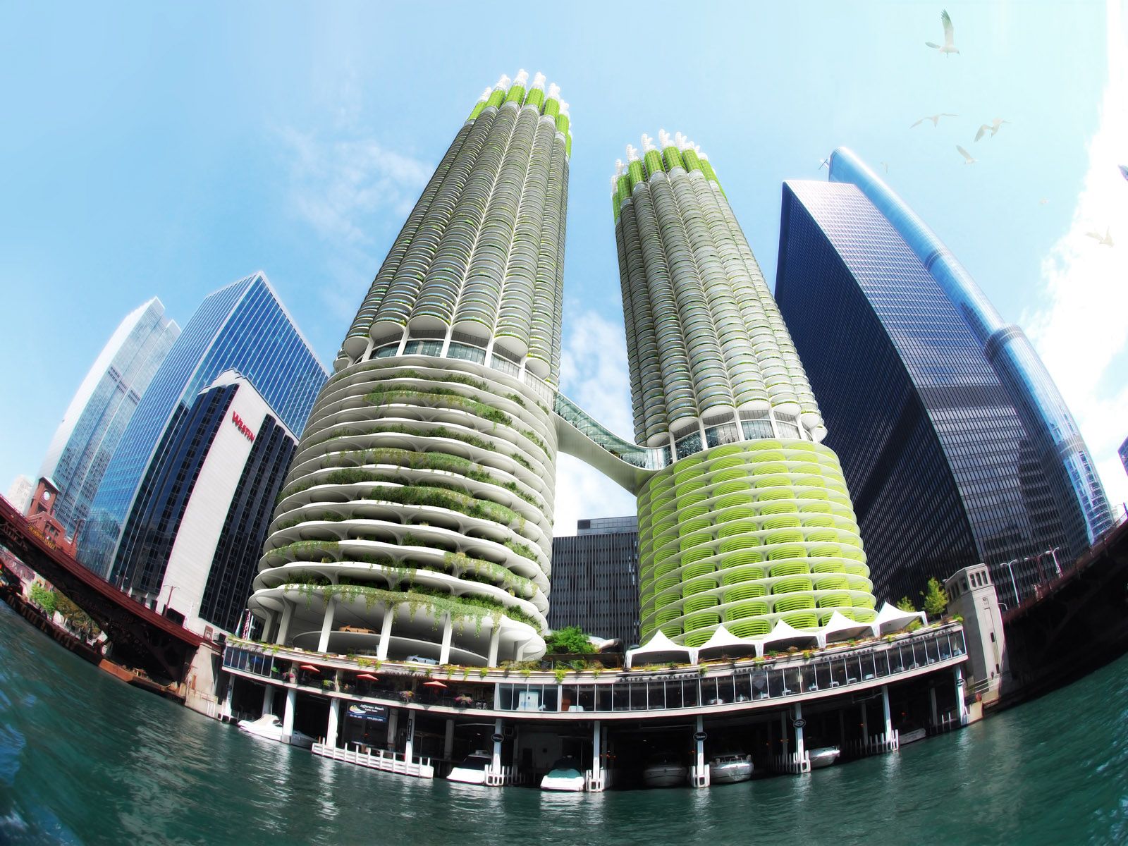 Algae Green Loop