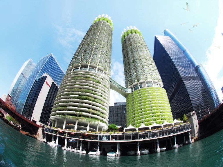 ALGAE GREEN LOOP 01 768x576