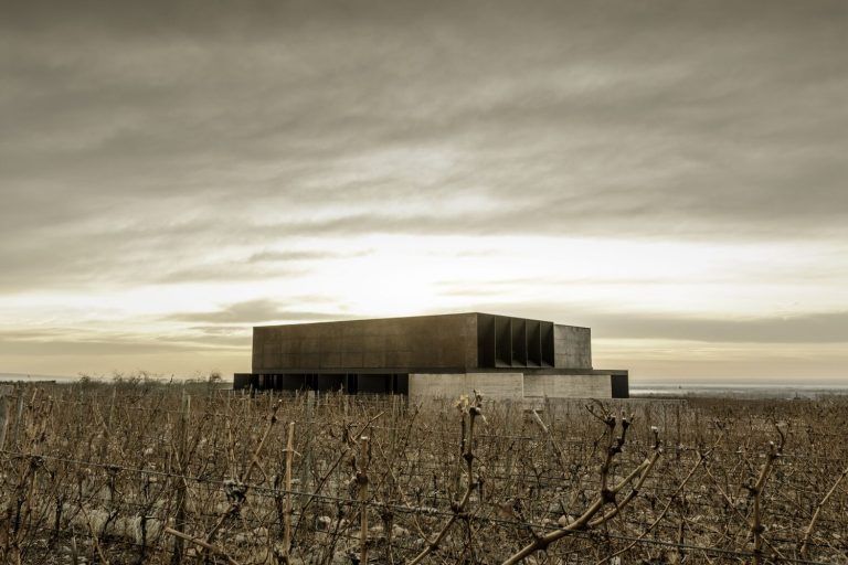 corazon del sol winery a4estudio 4 768x512