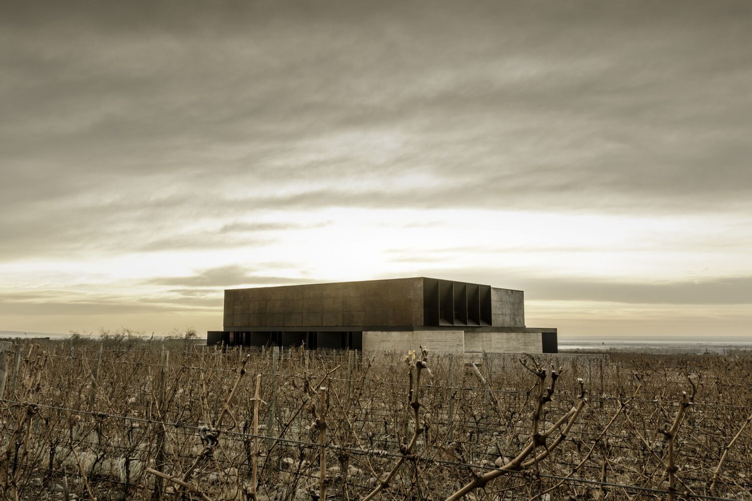 corazon del sol winery a4estudio 4