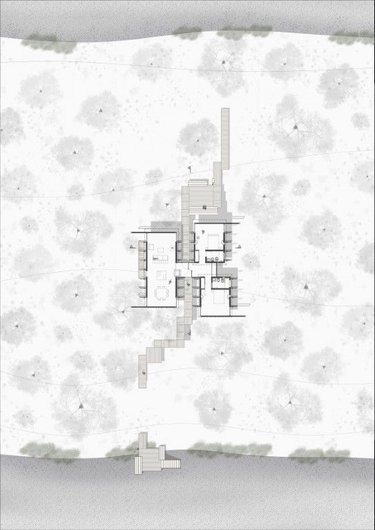 PLANTA 1 125 Medium