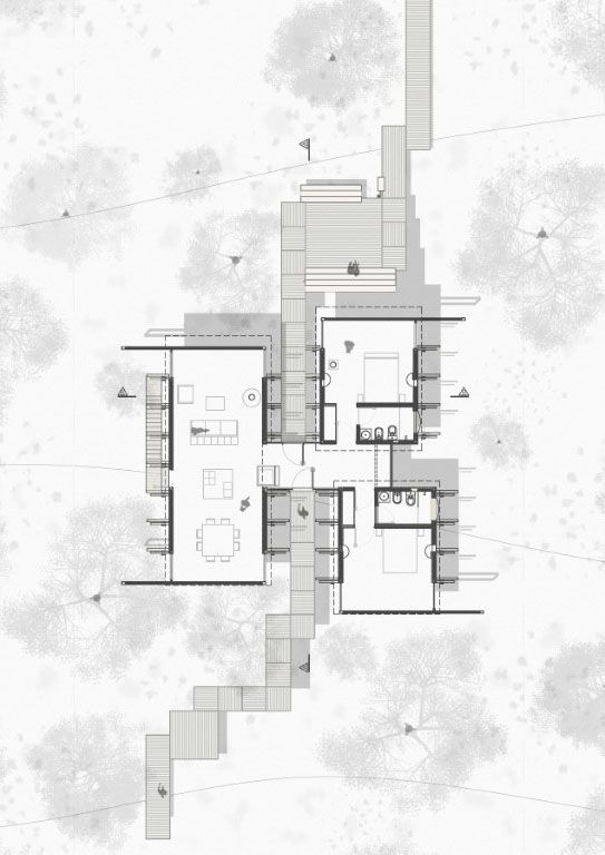 PLANTA Medium 1