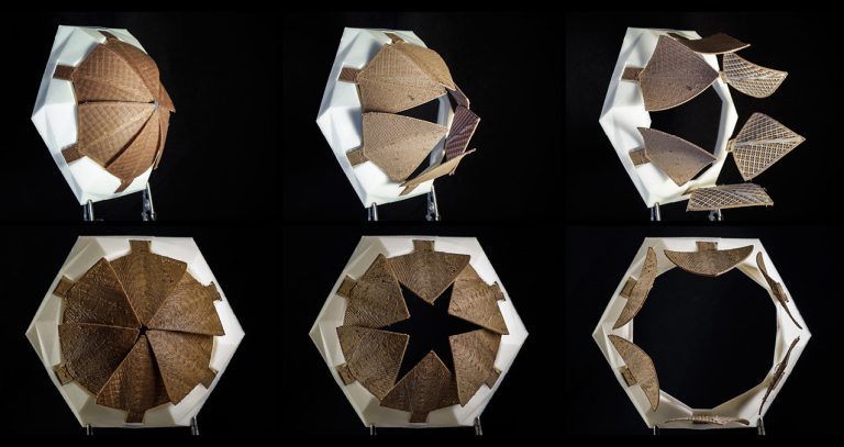 correa david biomimetic 4d printing 768x407