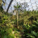 edenproject interior3 150x150