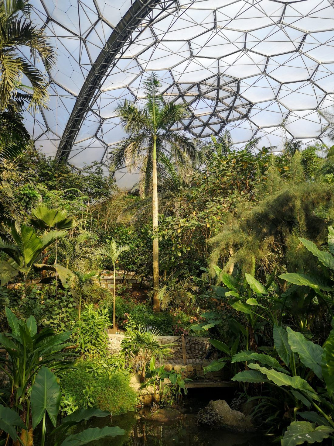 edenproject interior3