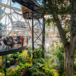 02 101065 03 Amazon Spheres N8 large 150x150