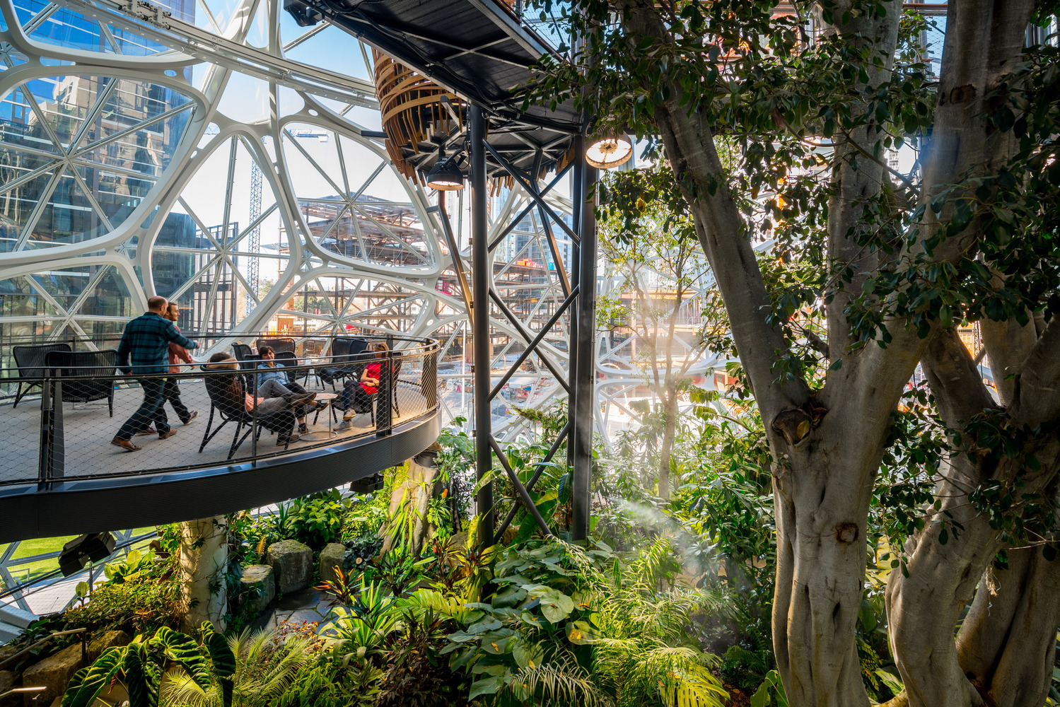 02 101065 03 Amazon Spheres N8 large