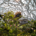 03 100876 02 Amazon Spheres N26 large 150x150