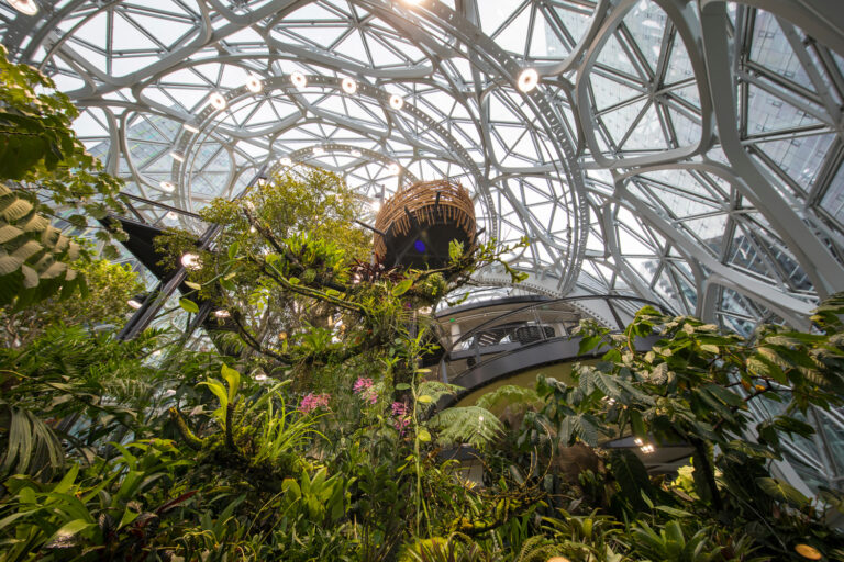 03 100876 02 Amazon Spheres N26 large 768x512