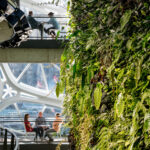 07101065 03 Amazon Spheres N9 large 150x150