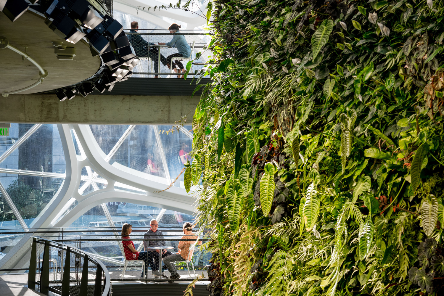 07101065 03 Amazon Spheres N9 large