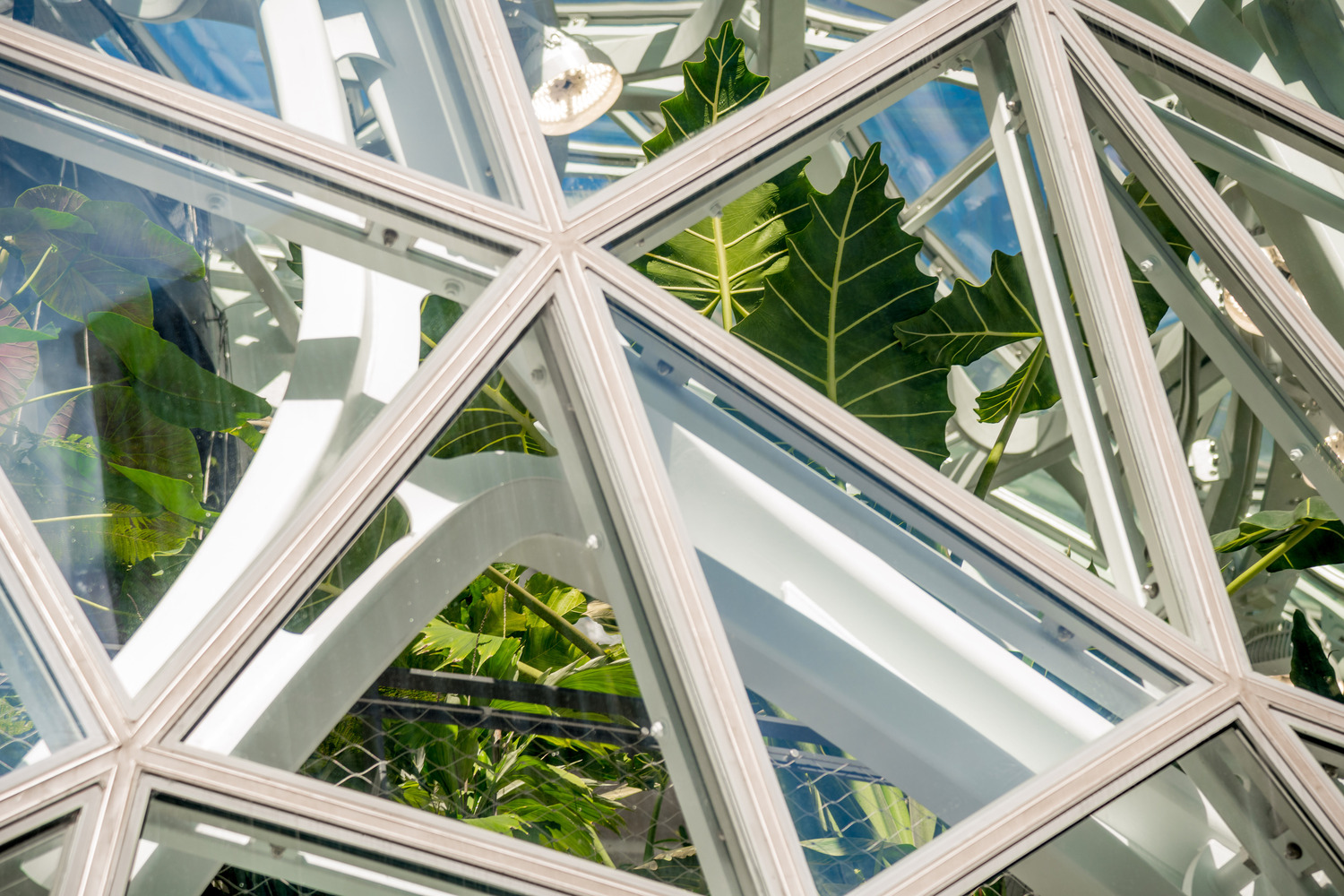 08101065 03 Amazon Spheres N7 large