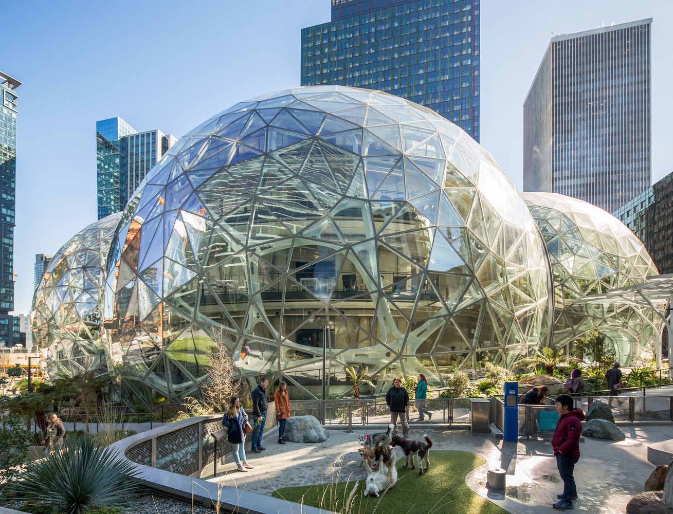 feature   01 100876 02 Amazon Spheres N13 large