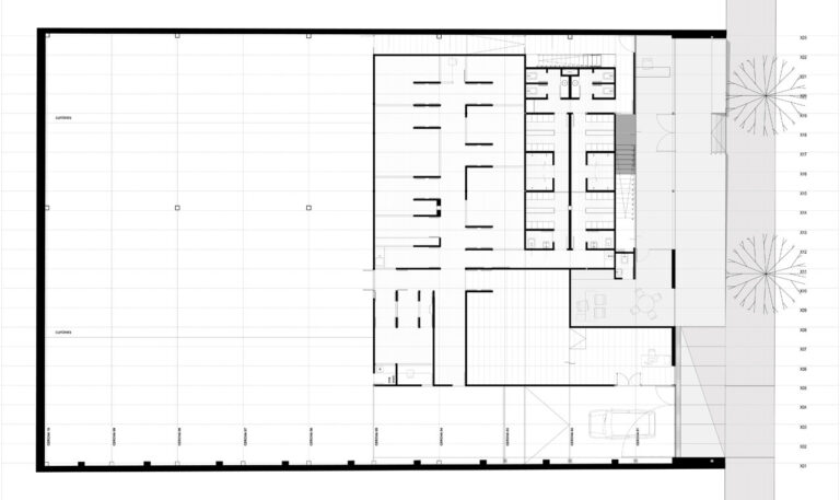 1323445638 ln plantabajaptf 768x457