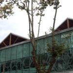 1323445789 16nptf 150x150