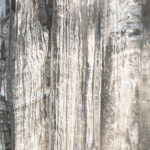 Chaer Design Week Web 7 150x150