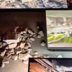Chaer Design Week Web 71 150x150