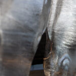 mg dwu 20241012 008 low 150x150