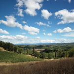 ARCHEA CANTINA ANTINORI 001  150x150