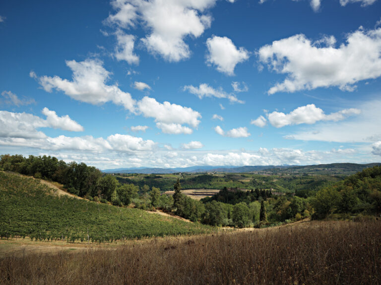 ARCHEA CANTINA ANTINORI 001  768x575