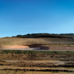 ARCHEA CANTINA ANTINORI 004  150x150