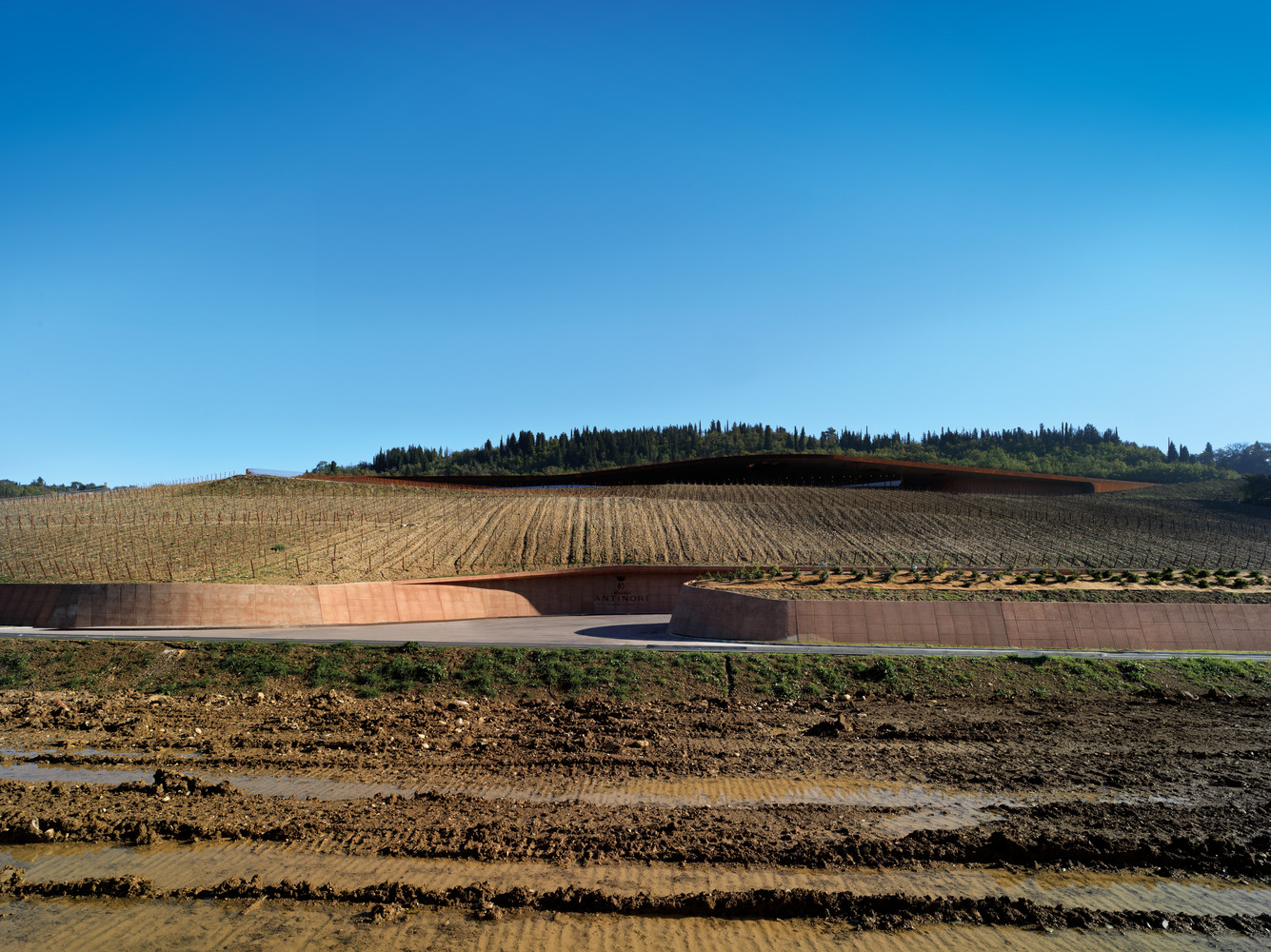 ARCHEA CANTINA ANTINORI 004