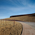 ARCHEA CANTINA ANTINORI 006  150x150