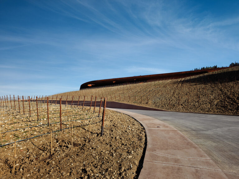 ARCHEA CANTINA ANTINORI 006  768x575