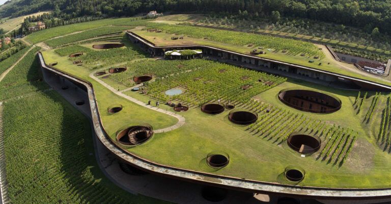 antinori cover 1 768x400