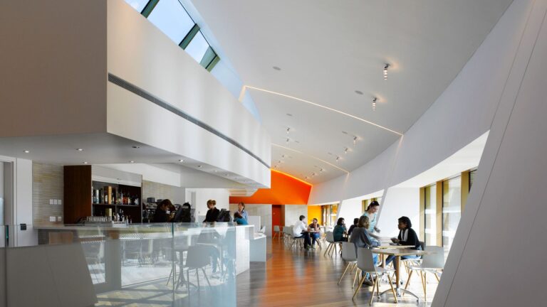 firstsite 16 1778x1000 1 768x432