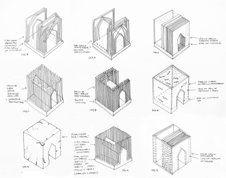 3 BDV roquis evolucion 02 768x605