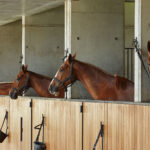 FIGUERAS POLO STABLES 1 150x150
