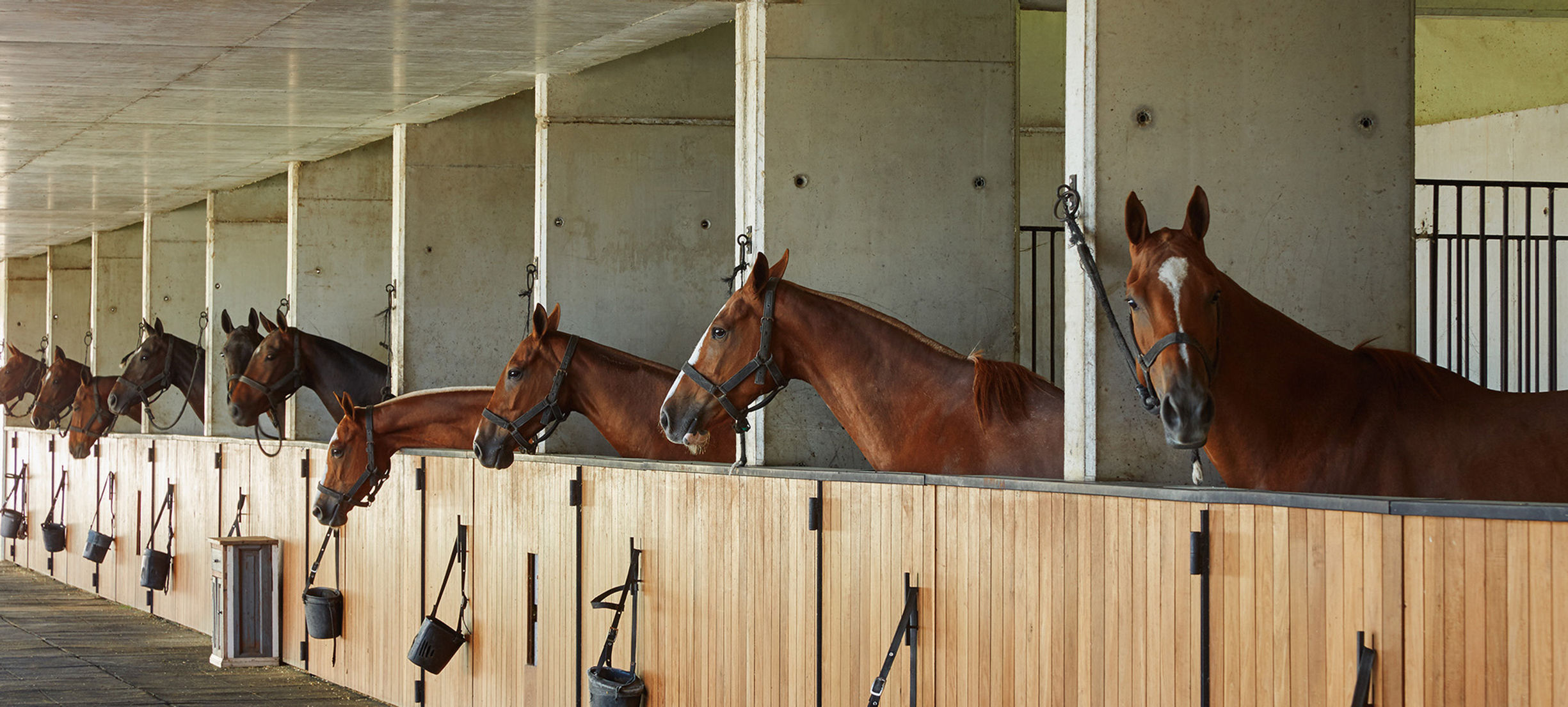 FIGUERAS POLO STABLES 1